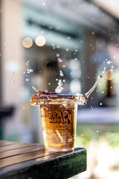 Bônus Sem Depósito: Dinheiro Grátis para Jogar