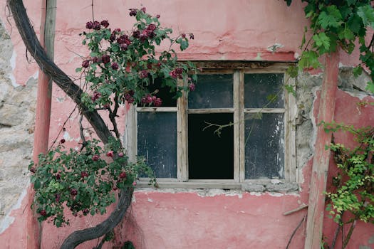 Bônus de 200%: Os Cassinos com Melhores Ofertas