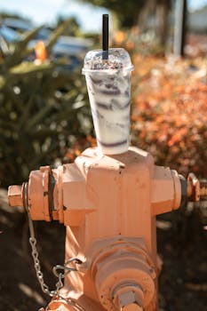 Slots com Maior RTP: Os Caça-Níqueis que Mais Pagam