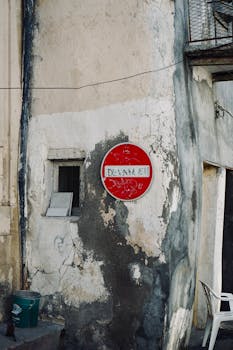 R$50 Grátis: Cassinos com Bônus Sem Depósito em 2025