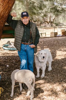 Cassinos com 50+ Giros Grátis de Boas-vindas