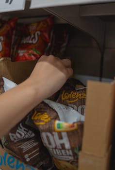 Roleta Online: Guia Completo para Jogadores Brasileiros