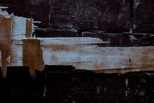 Free Spins: Como Conseguir Rodadas Grátis em Slots