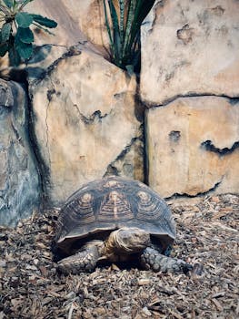 Bônus de 200%: Os Cassinos com Melhores Ofertas